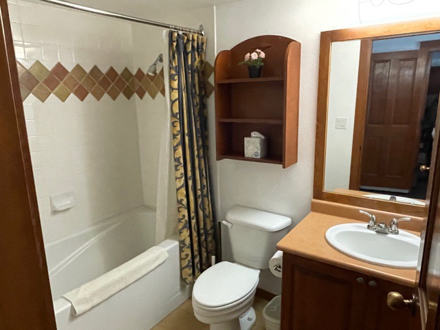BATHROOM 1.jpg