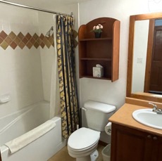BATHROOM 1.jpg