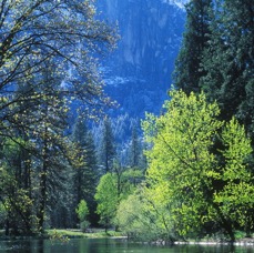 SUMMER CANYON SOLITUDE DIRECT UTAH SKI copy.jpg
