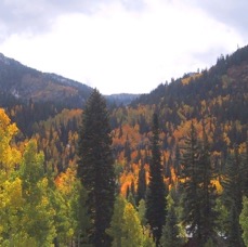 9. FALL CANYON SOLITUDE DIRECT UTAH SKI.jpg
