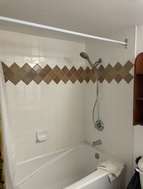 1 BEDROOM SHOWER