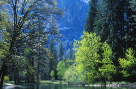 6. SUMMER CANYON SOLITUDE DIRECT UTAH SKI copy 2.jpg