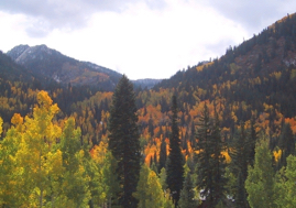 9. FALL CANYON SOLITUDE DIRECT UTAH SKI.jpg