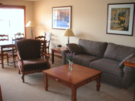 solitude slopside condo